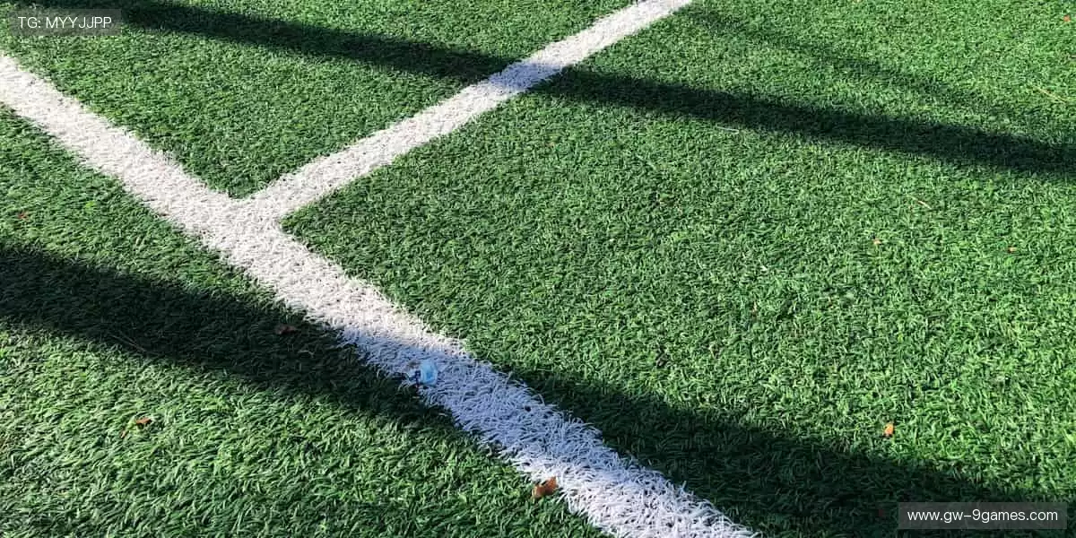 🎁 限量周边,手慢无!正版授权好物,让热爱触手可及!